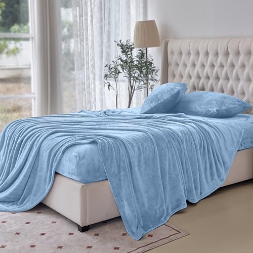 Elegant Comfort Luxuriously Soft 4-Piece Velvet Plush Flannel Sheet Set - Premium Quality - Cozy Warm, Anti-Static, Non Pilling Fuzzy Velvet Flannel Fleece Deep Pocket Sheet Set - Queen, Denim Blue