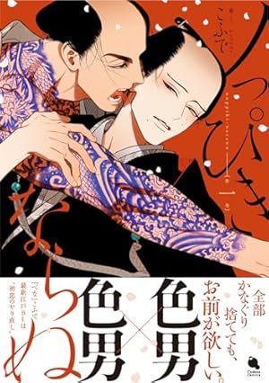 蛍火艶夜　河原版　豪華函入り全巻揃　雨瀬シオリ　コミコミスタジオ　特典　ペーパー 蛍火艶夜 河原版 豪華函入り全巻揃 雨瀬シオリ コミコミスタジオ