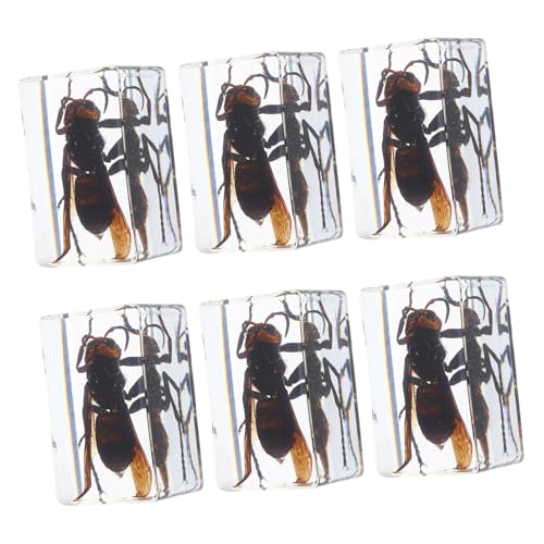 Hohopeti 6pcs Resin Insect Specimens Collection | Preserved Wasp Animal Figures | Scientific Education Paperweight for Classroom Display | Biology Teacher Supplies