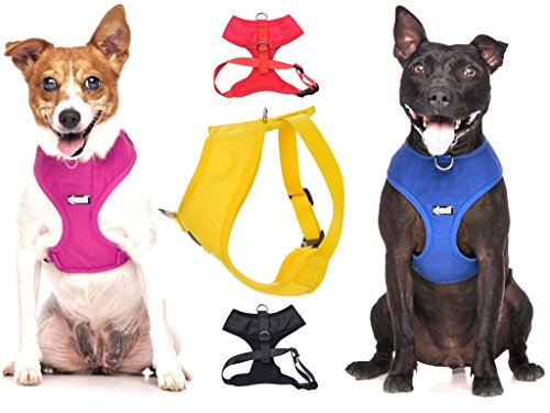 Dexil Elite Range Luxury Padded Waterproof Adjustable Back and Front Ring Non-Pull Large Pet Dog Vest Harness (Liquorice Black, Large 55-80cm Chest)