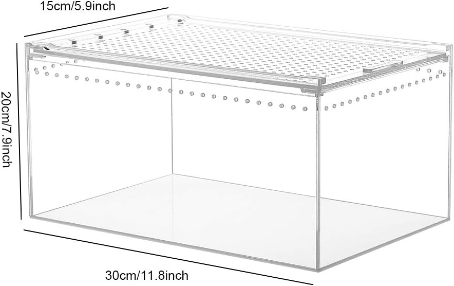 REMASIKO Magnetic Acrylic Case, 12" x 8" x 6" Enclosure Flat Long Reptile Breeding Box Terrarium Cage for Scorpion Sling Isopods Lizards Invertebrates Insects Mantis