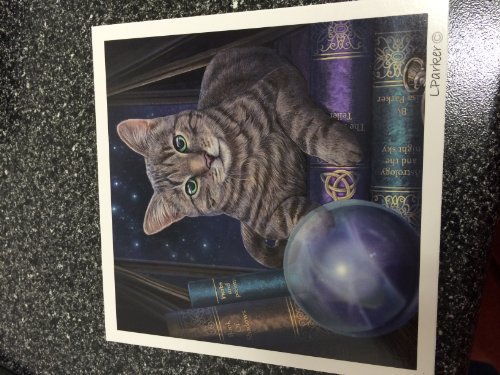 Fortune teller cat greeting card by lisa parker