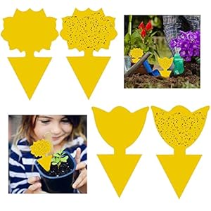 GeekerChip 50Pcs Gelbtafeln,gelbsticker,steckbare Fliegenfalle Gelbtafeln Gelbsticker,fliegenfalle pflanzefür Pflanzen Auf dem Balkon oder Im Garten