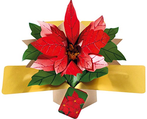 Second Nature Stella Pop Up Christmas Card