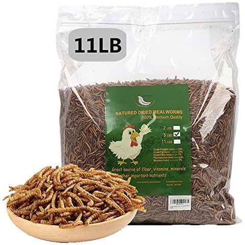HANDPOINT 11 lbs Dried Mealworms, 100% Non-GMO Natural High-Protein,Treats for Chicken, Fish, Bird Food(11LB) Cover