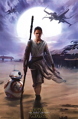 Star Wars The Force Awakens - Rey Poster 22 x 34in