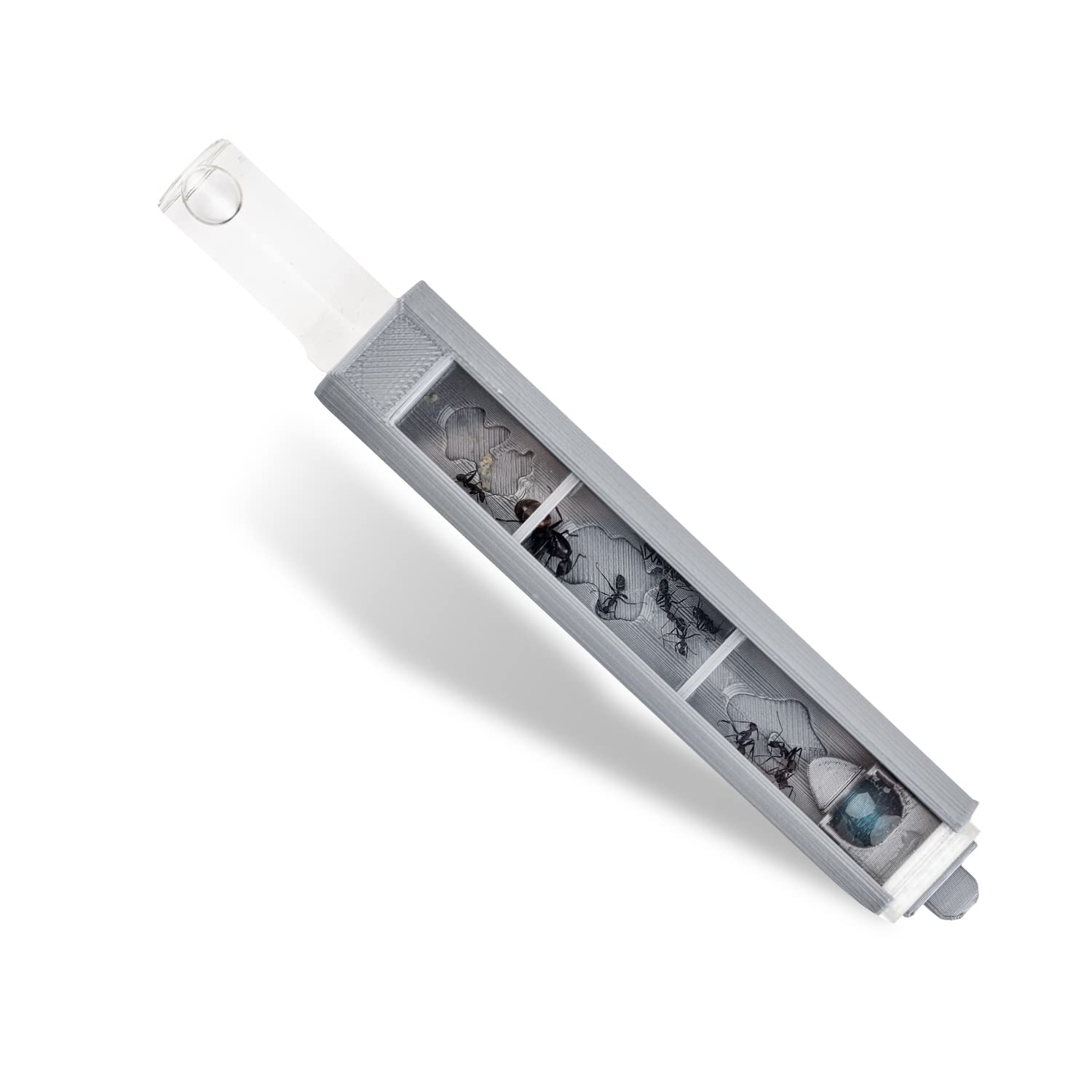 AntHouse - Ant Test Tube - Tubex 3D - Gray - 3 Compartments and 4 Closing Lids - Moisture Proof - Feeding Tray - Light Control
