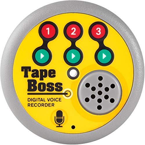 Digital Voice Recorder