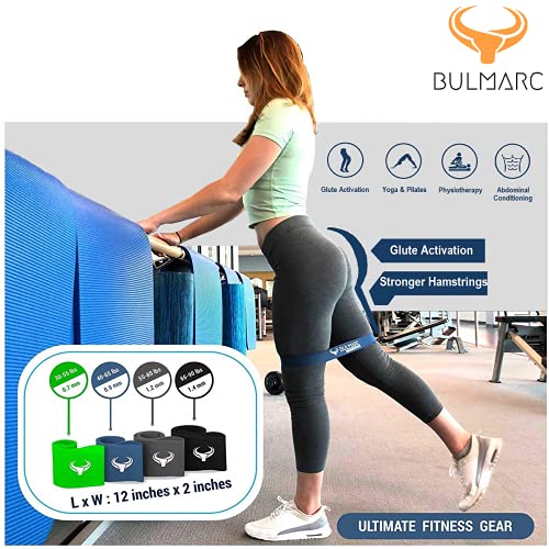 Image of Resistance Bands Mini Loop Exercise Bands Sliding Discs 70+ Exercises eBook Heavy Fitness Workout Men Women Toning Booty Hips Glutes Thighs