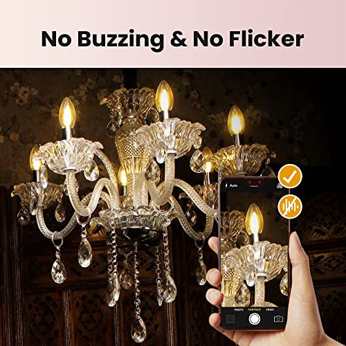 Alampever Dimmable 24-Pack B11 Candelabra Led Light Bulb, 4.5W (60W Equivlant) Led Chandelier Light Bulb, E26 Standard Base, 2700K Soft White, 450Lm, Cri80 #TOP4