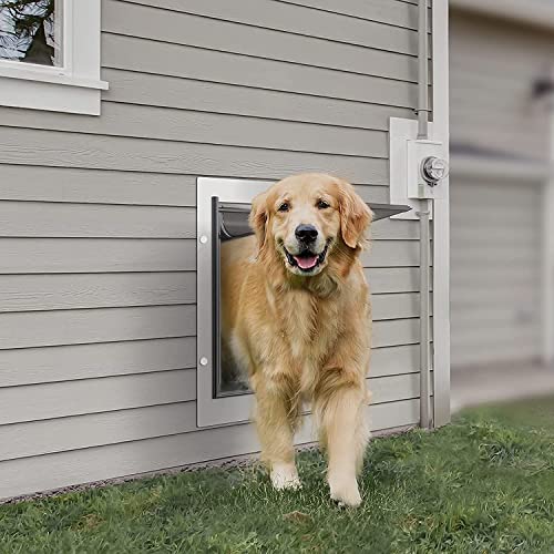 Baboni Pet Door for Wall, Steel Frame and Telescoping Tunnel, Aluminum Lock, Double Flap Dog Door and Cat Door, Strong and Durable (Pets Up to 40 Lb) -Medium