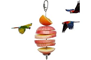 Stainless Steel Bird Feeder Toy Treat Holder for Parrot Fruit Vegetable