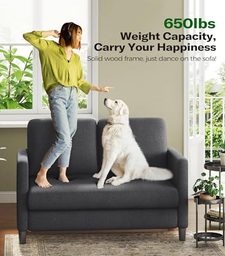 Image of Welzona Loveseat, 51 inch Small Couch, Teddy Love Seat, Small Loveseat Sofa