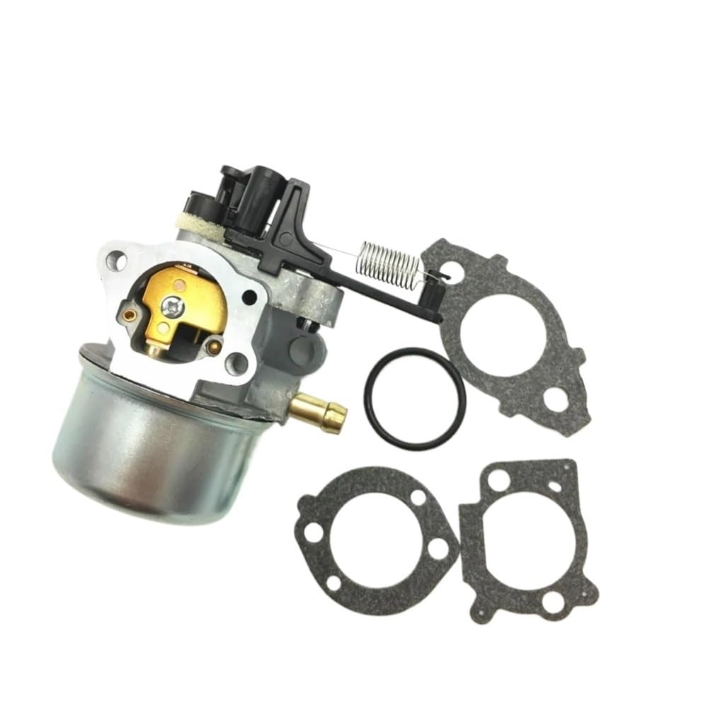 Carburateur tondeuse pour un jardin parfait de printemps 591137