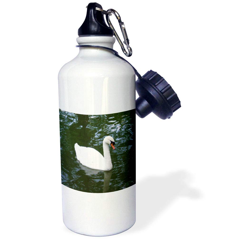 3dRose Seven Swans A-Swimming Water Bottle, 21 Oz Stainless Steel, Flip-Up Spout With Straw, White