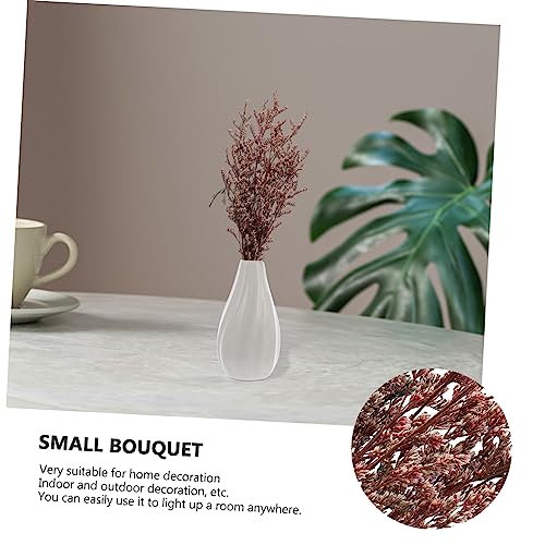 Ramo pequeño de flores secas Gypsophila para decoración miniatura 3