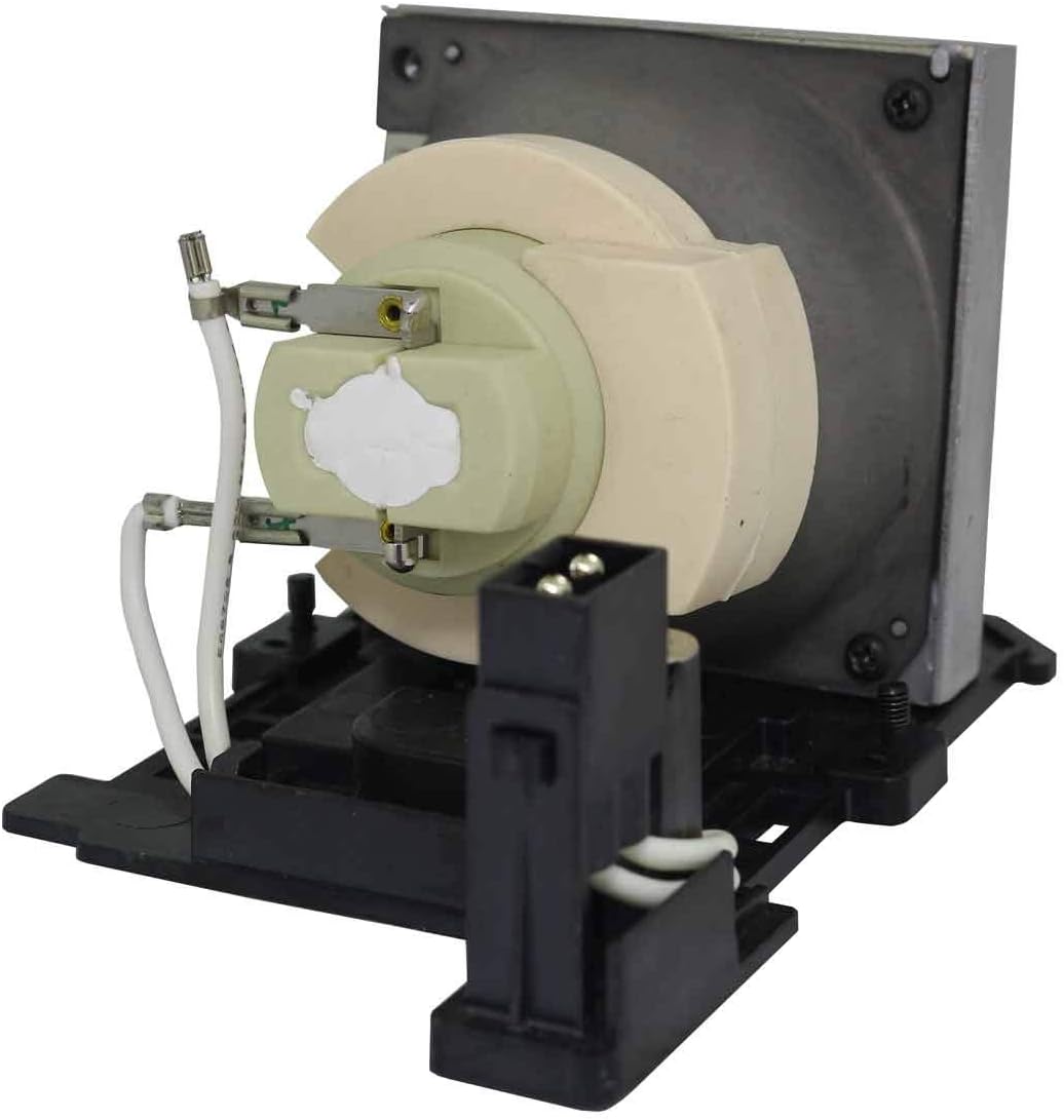LYTIO Premium for Optoma BL-FP200H Projector Lamp with Housing BLFP200H (Original Philips Bulb Inside)