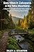 Easy Hikes in Zakopane & the Tatra Mountains: A Beginner’s Guide to Scenic Trails, Cable Car Routes, and Relaxing Nature Walks (English Edition)