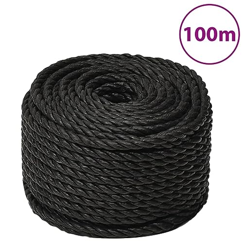 vidaXL Arbeitsseil Bodenarbeitsseil Arbeitsleine Mehrzweckleine Seil Bootsleine Allzweckseil Schnur Tau Leine Gedreht Schwarz 16mm 100m Polypropylen