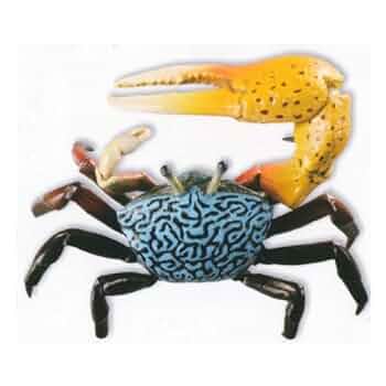 Amazon | 海洋堂 カプセルQ ミュージアム 日本カニ大全 ルリ