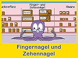 Fingernagel und Zehennagel (Grundschule)