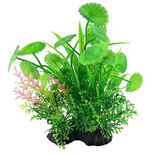 lH  vX`bN A   ^N  U      V~[V 