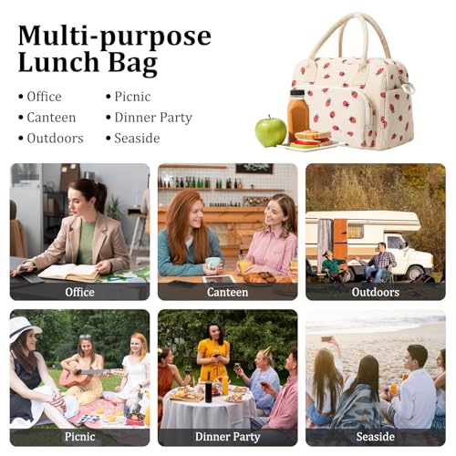 MEXS Large Reusable Lunch Box