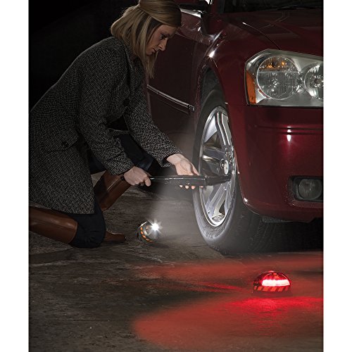Reese Towpower Pd110200 Pod Hazard, Dual-Use Emergency Warning And Work Light, Weather Resistant #TOP2