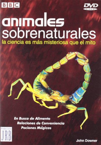 City Of Ember (En Busca De La Luz) City Of Ember Director: Gil Kenan Actores - Mehr Infos/Bestellen