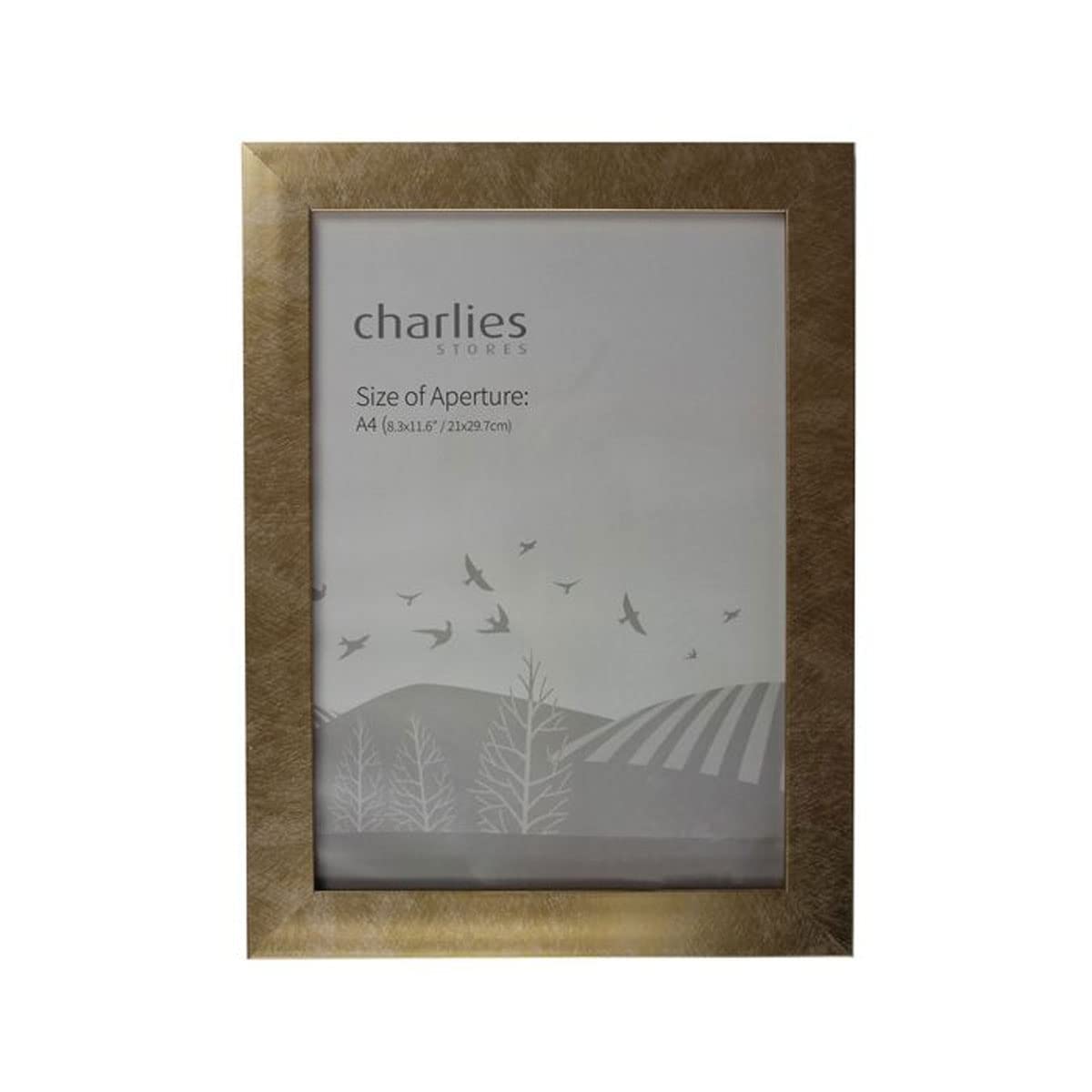 Charlies Gold Picture Frame - A4