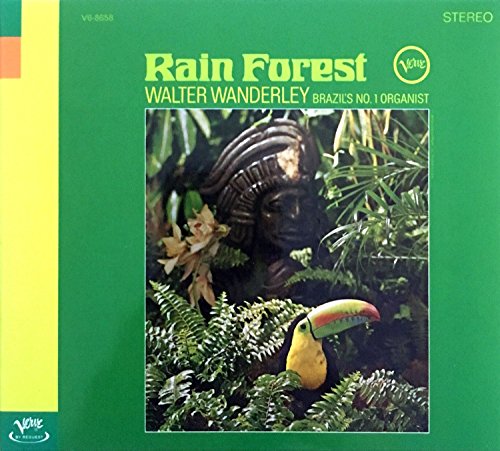 Rain Forest