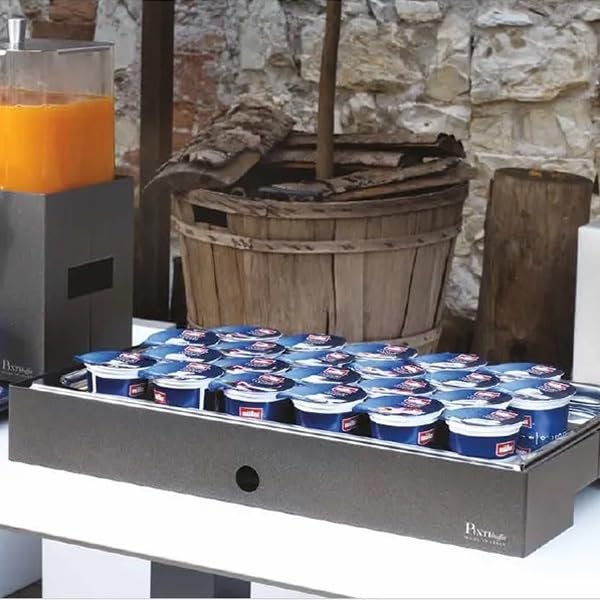 Pintinox Vassoio Refrigerato Porta Yogurt, 22 Fori da 5,5 cm, 54,7x34,2 cm, con Gel Pack e Bacinella in Policarbonato Linea Caleido