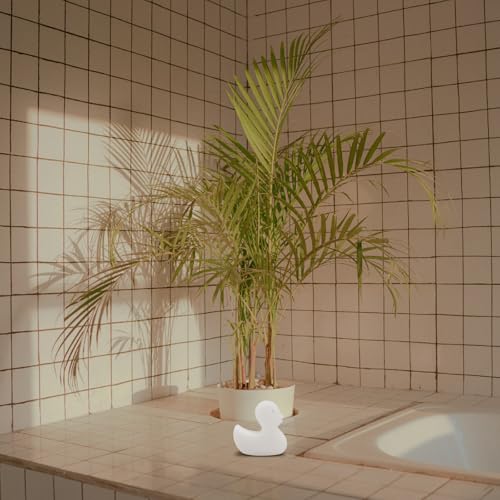 Vignette produit