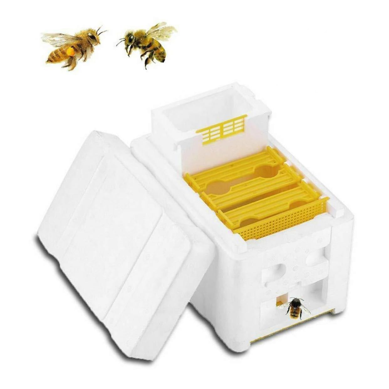 Hemobllo Bee Mating Box Per Apicoltura Strumento Pratico Per Allevamento Accessorio Per Beekeeping Flessibile e Facile Da Usare