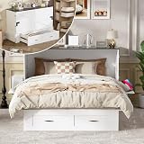 PAKASEPT Queen Murphy Bed Cabinet