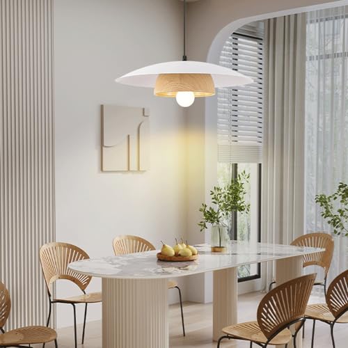 Suspension simple E27 avec abat-jour métallique orienté pour éclairage ciblé - 2