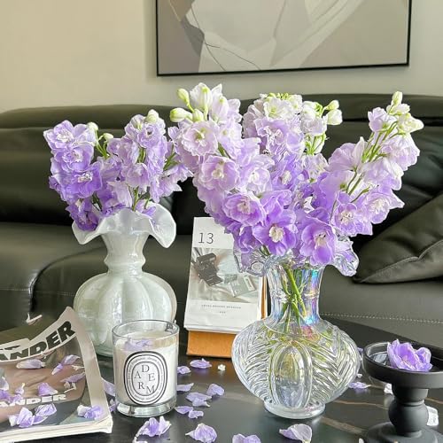 semi resistenti del delphinium, delphinium decorativi, rare da giardino, d'appartamento copertura del terreno, 100pcs