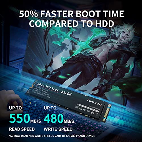 Fanxiang S201 512Gb M.2 Ssd 2280 Sata Iii 6Gb/S Internal Solid State Drive, Slc Cache For Speed Boost, Read Speed Up To 550Mb/Sec, Compatible With Laptop And Pc Desktops(Black) #TOP2