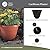 The HC Companies Caribbean Planter Pot - Outdoor & Indoor Plant Pot with Drainage Hole & Plug - Rolled Rim Plastic Pots for Plants & Flowers - Decorative Plant Pot (14" Black, Pack of 1)