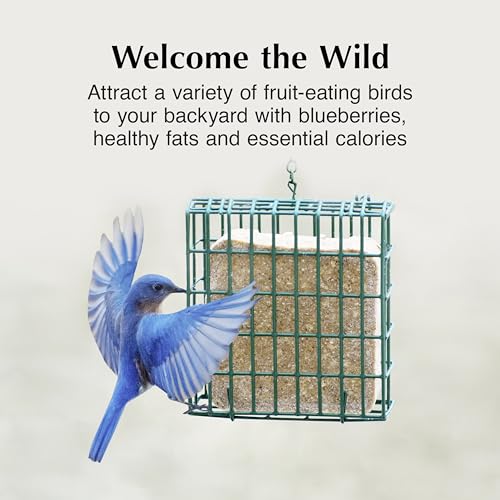 Image of C&S Berry Delight No Melt Suet Dough, Suet Cakes for Wild Birds Including Robins, Blue Jays, Bluebirds, Tanagers, Thrushes and More, 11.75 Ounces, Pack of 8
