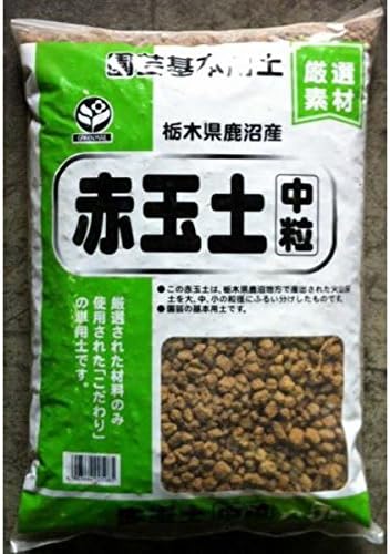 Amazon グリーンメール 赤玉土 中粒 5l 用土 Amazon グリーンメール 赤玉土 中粒 5l 用土