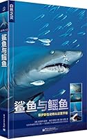 自然之灵 鲨鱼与鳐鱼（全彩） 7539768622 Book Cover
