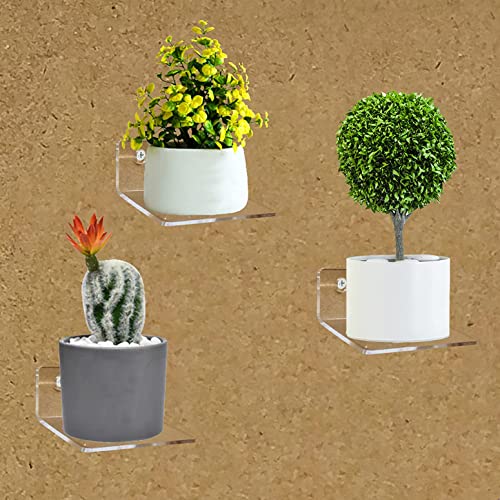 Image of Parikshit Sublimation 4 Pcs Invisible Small wall Rack Shelf Plant Stand for Living Room Bedroom Home Decor Bathroom Kitchen Office