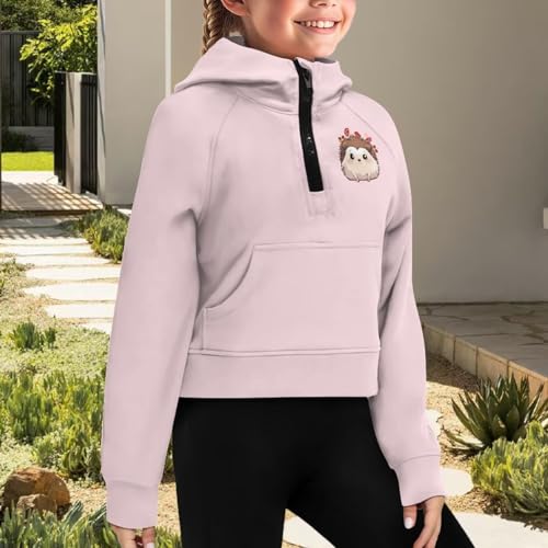 Sweatshirts for Girls Kids Collar Zip Up Pullover Hoodies Cropped Long Sleeve Top3