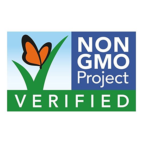 Organic Broccoli Seeds (Appr. 225) Broccoli Planting Seeds - Heirloom Vegetable Seeds - Certified Organic, Non-Gmo, Non Hybrid - Usa #TOP1