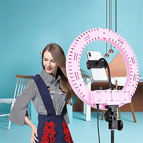 FACAZ LED-Ringlicht-Kit LED-Ring-Fotografie-Fülllicht, Beauty-Gesichtslicht, Make-up-Anker, Live-Broadcast-Lichtstativ… – Bild 4