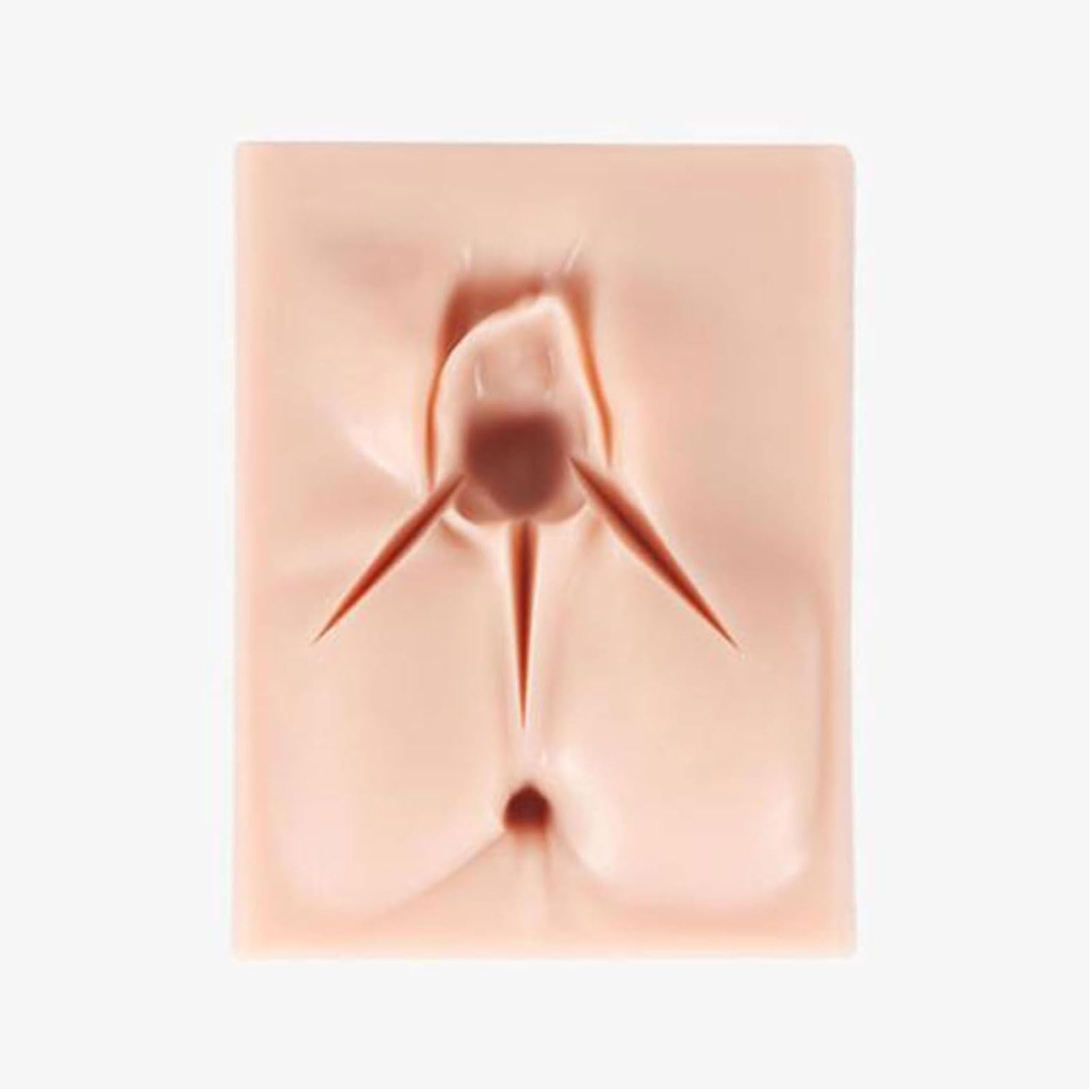 JOSBY Simulador de sutura de episiotomía de laceración, Modelo de práctica de sutura perineal de incisión de Vulva Femenina, Modelo didáctico, simulador de Parto, para la enseñanza de ginecología