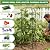 Garden Obelisk Trellis for Climbing Plants 5.7/4.5FT Heavy Duty Metal & Rustproof Plant Climbing Support for Garden Indoor Outdoor Potted Plant Flowers Fruits Vegetable Vines (4.5FT / 1Pack)
