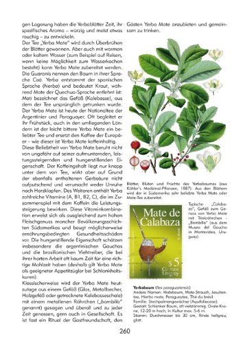Bäume. Eine Reise durch Zeiten und Kulturen: Geschichte, Mythologie, Märchen, Brauchtum, Nutzen, Botanik