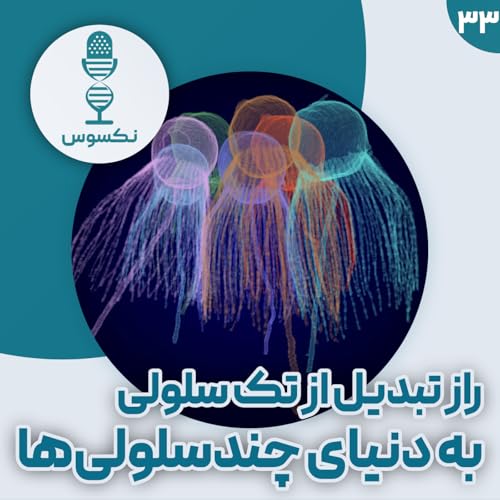 ۳۳&mdash; پنج موجود شگفت&zwnj;انگیز که می&zwnj;توانند رازهای تکامل چندسلولی شدن را فاش کنند!